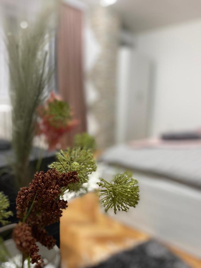 Apartman Bonaca Ni المظهر الخارجي الصورة