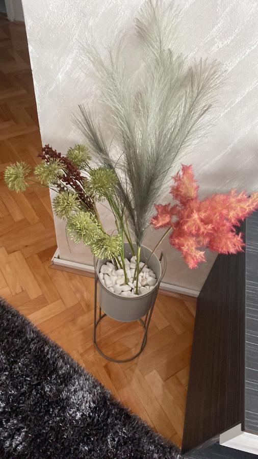 Apartman Bonaca Ni المظهر الخارجي الصورة